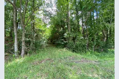 Tbd Highway 378, Conway, SC 29527 - Photo 6