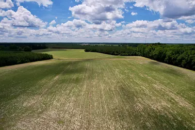 83.03 Acres - Birch Creek Rd., Andrews, SC 29510 - Photo 16