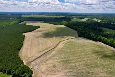 83.03 Acres - Birch Creek Rd., Andrews, SC 29510 - Photo 4