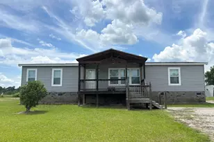 10409 County Line Rd, Hemingway, SC 29554 - Photo 1