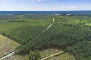 Tract B Ten Acre Rd, Andrews, SC 29510 - Photo 1