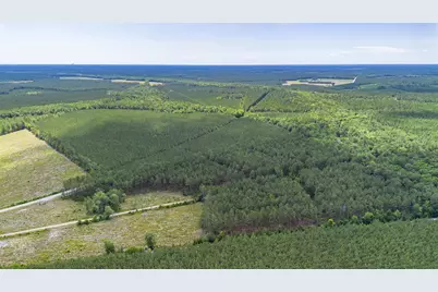 Tract E Ten Acre Rd., Andrews, SC 29510 - Photo 6