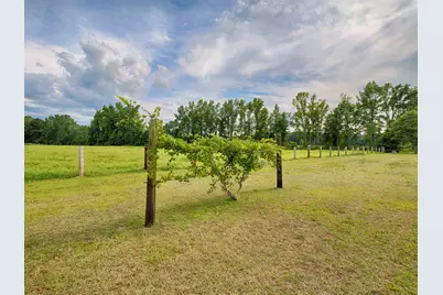 3728 Tuberville Hwy., Lake City, SC 29560 - Photo 60