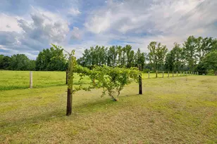 3728 Tuberville Hwy, Lake City, SC 29560 - Photo 60