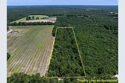 Tbd 5.3 Acres Springtown Rd, Bamberg, SC 29003 - Photo 6