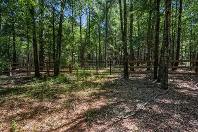 Tbd 5.3 Acres Springtown Rd, Bamberg, SC 29003 - Photo 2