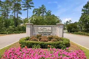 61 Pigeon Forge Ct, Murrells Inlet, SC 29576 - Photo 90
