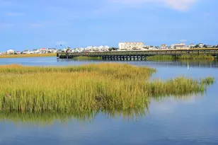 4437 Lady Banks Ln, Murrells Inlet, SC 29576 - Photo 36