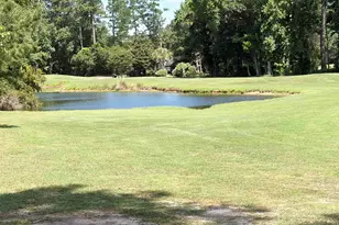 4502 Firethorne Dr, Murrells Inlet, SC 29576 - Photo 44
