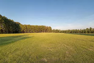 4275 Poston Corner Rd, Johnsonville, SC 29555 - Photo 2