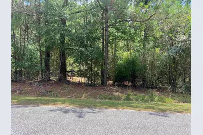 Tbd Ervin Road Ervin Rd., Andrews, SC 29510 - Photo 1