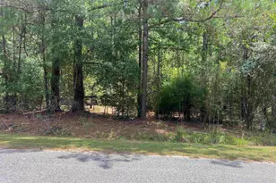 Tbd Ervin Road Ervin Rd, Andrews, SC 29510 - Photo 1