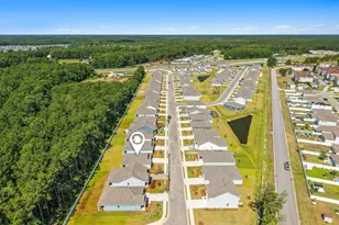 338 Ridley St, Longs, SC 29568 - Photo 32