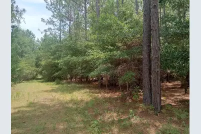Lot 1074 Duany Dr., Georgetown, SC 29440 - Photo 1