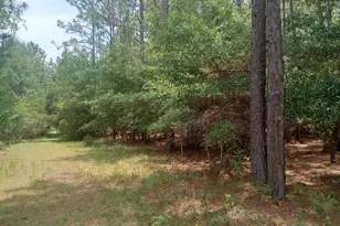 Lot 1074 Duany Dr, Georgetown, SC 29440 - Photo 1