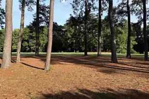 165 Quail Run Dr, Conway, SC 29526 - Photo 48