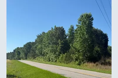 491 Crow Ln., Pageland, SC 29728 - Photo 2