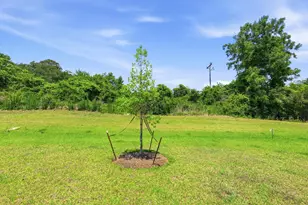 284 Long Beard Way, Longs, SC 29568 - Photo 30