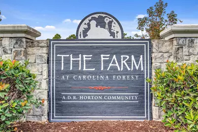 390 Carolina Farms Blvd., Myrtle Beach, SC 29579 - Photo 52