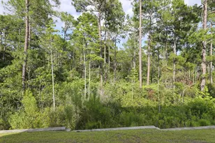 2618 Muhly court, Conway, SC 29526 - Photo 26