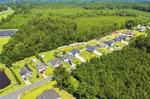 217 Perrin Rd, Loris, SC 29569 - Photo 30