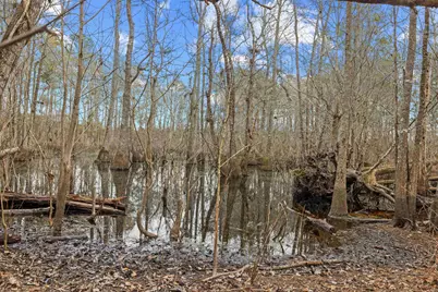 Tbd 183 Acres Blakely Rd., Salters, SC 29590 - Photo 6