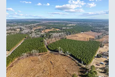 Tbd 183 Acres Blakely Rd., Salters, SC 29590 - Photo 28