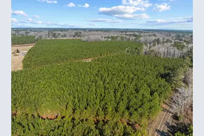 Tbd 183 Acres Blakely Rd., Salters, SC 29590 - Photo 30