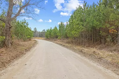 Tbd 183 Acres Blakely Rd., Salters, SC 29590 - Photo 40