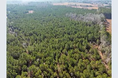 Tbd 183 Acres Blakely Rd., Salters, SC 29590 - Photo 38