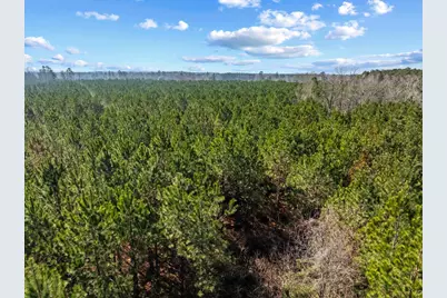 Tbd 183 Acres Blakely Rd., Salters, SC 29590 - Photo 36
