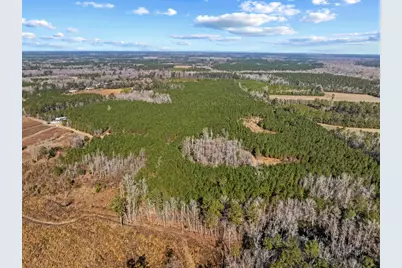 Tbd 183 Acres Blakely Rd., Salters, SC 29590 - Photo 34