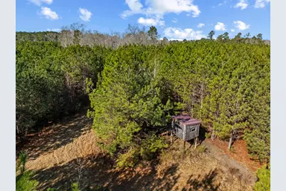 Tbd 183 Acres Blakely Rd., Salters, SC 29590 - Photo 4