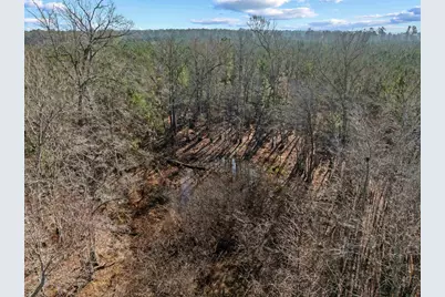 Tbd 183 Acres Blakely Rd., Salters, SC 29590 - Photo 14