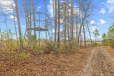 Tbd 183 Acres Blakely Rd., Salters, SC 29590 - Photo 8