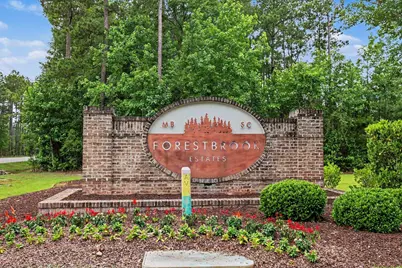 1108 Harbison Circle, Myrtle Beach, SC 29579 - Photo 46