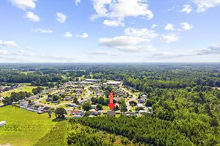 338 Cherry Buck Trail, Conway, SC 29526 - Photo 32