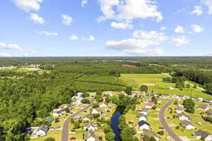 338 Cherry Buck Trail, Conway, SC 29526 - Photo 36