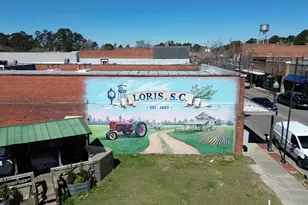 914 Farmers Passage Loop, Loris, SC 29569 - Photo 26