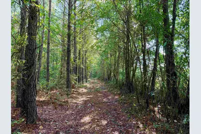 101.49 Acres - Epps Rd., New Zion, SC 29111 - Photo 6