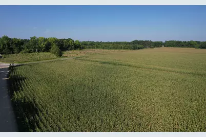 24.36 Acres - Newman Swamp Rd, Lamar, SC 29069 - Photo 16