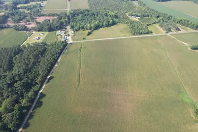 24.36 Acres - Newman Swamp Rd, Lamar, SC 29069 - Photo 10