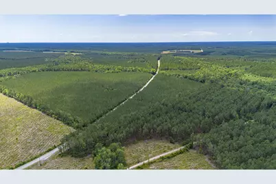 Tbd Ten Acre Rd., Andrews, SC 29510 - Photo 4