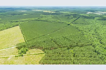 Tract F Ten Acre Rd., Andrews, SC 29510 - Photo 2