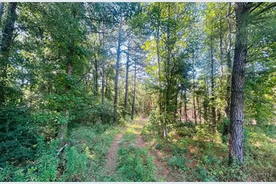 18.58 Acres - Turkey Ln, Kingstree, SC 29556 - Photo 1