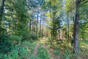 18 58 Acres - Turkey Ln, Kingstree, SC 29556 - Photo 1