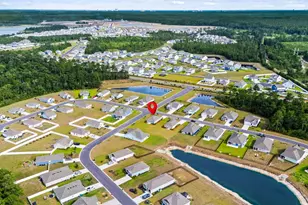 247 Teddy Bear Circle, Conway, SC 29526 - Photo 52