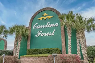 1096 Harvest Circle, Myrtle Beach, SC 29579 - Photo 54