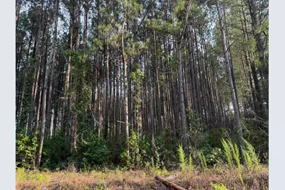 0 S Country Club Rd., Lake City, SC 29560 - Photo 2