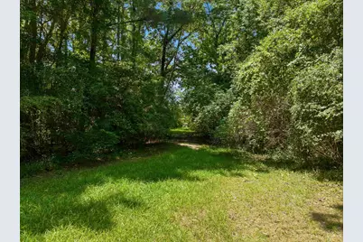 Tbd Highway 66, Conway, SC 29526 - Photo 4